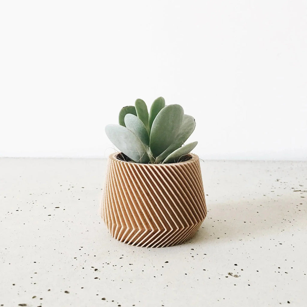 Cache pot Solveig